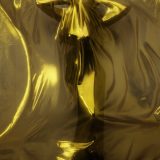 20161204_transparency_gold_dressed