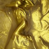 20161204_transparency_gold_nude1